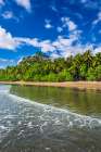 Surf and coconut palms at Playa Matapalo, Puntarenas Province, Costa Rica Art Print